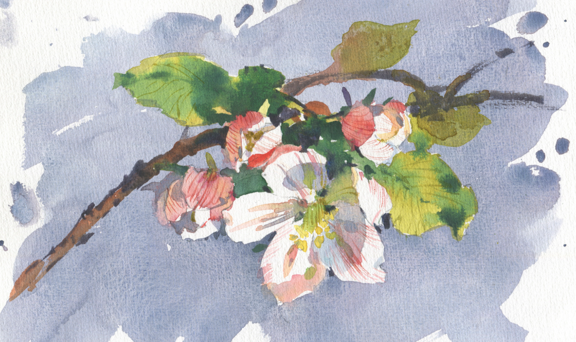 Vernissage „Frühlingserwachen“