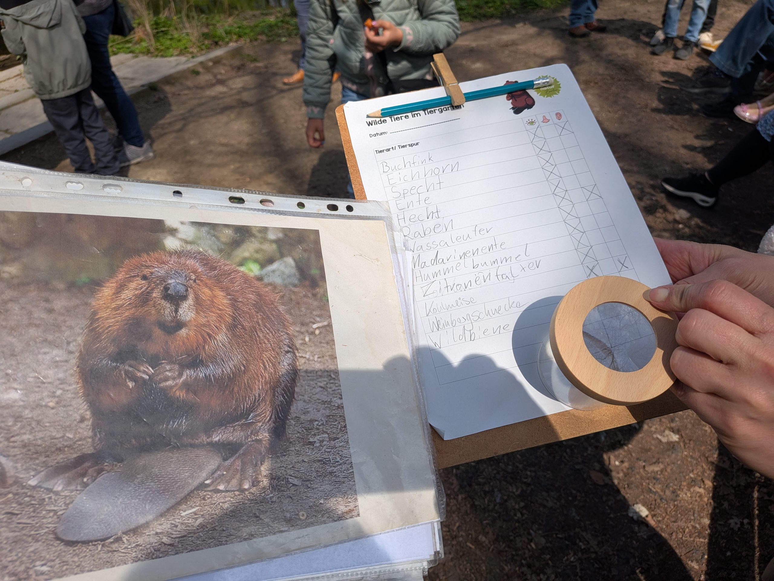 Großstadtsafari im Tiergarten – Wilde Entdeckungen mitten in Berlin